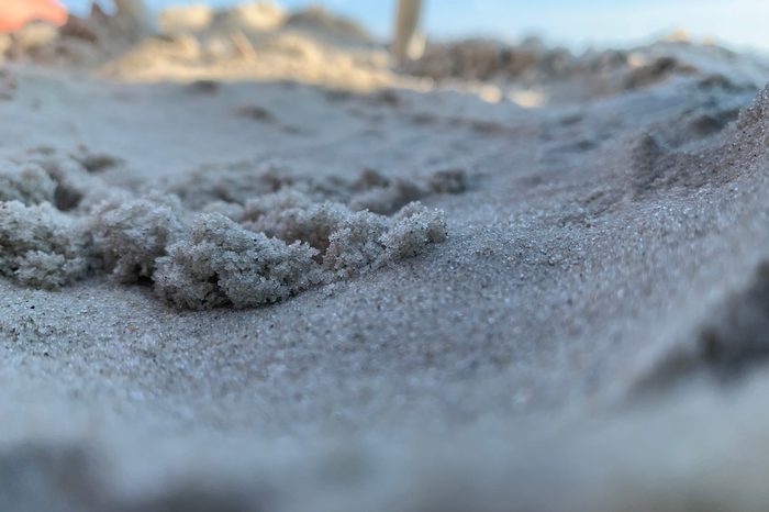 Cape May, New Jersey. A day at the beach.