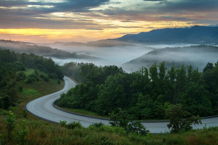 shutterstock_1164121840