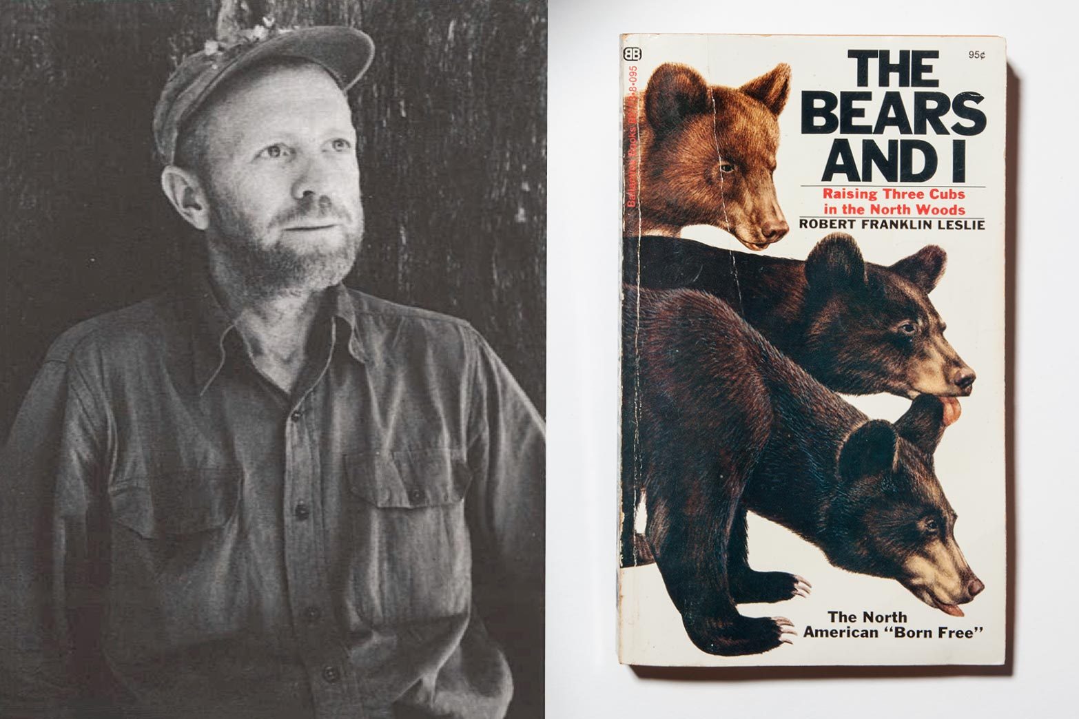 robert franklin leslie the bears and i book author