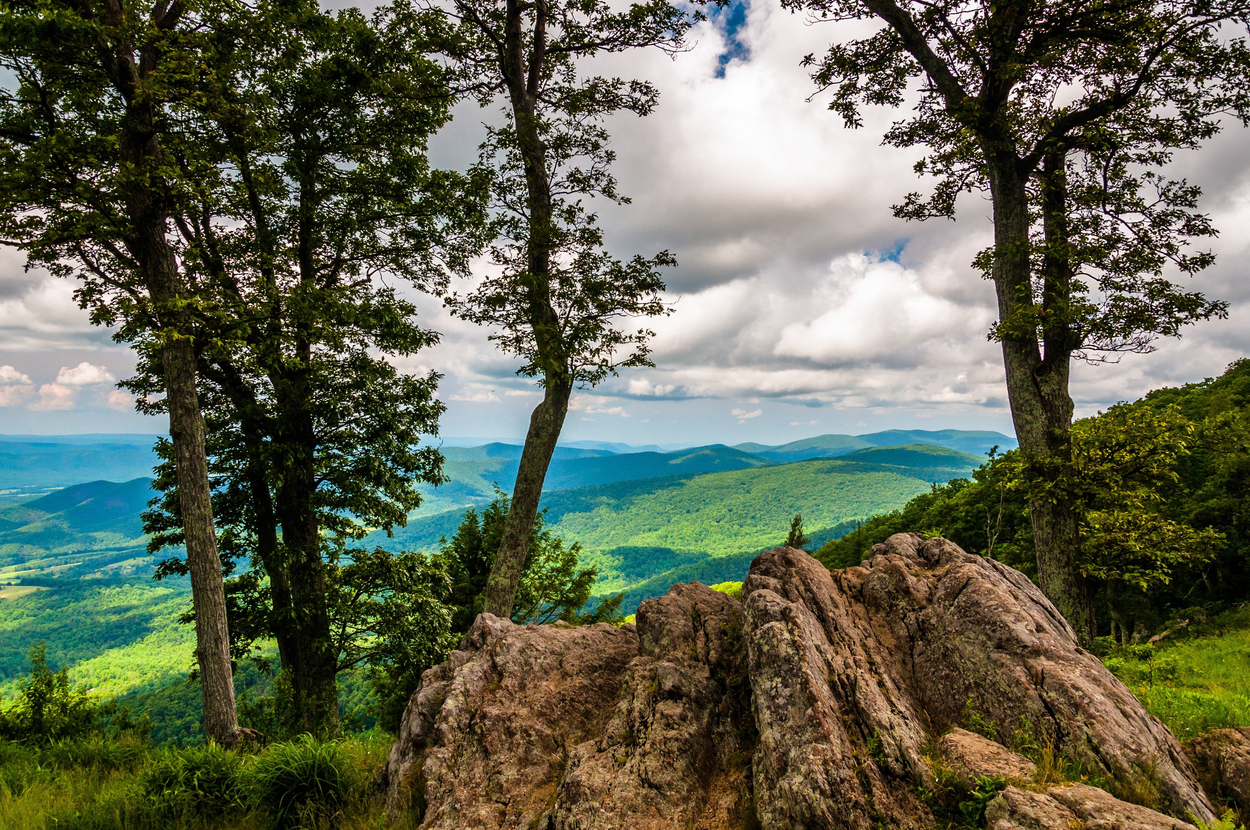 Trees stand tall, framing rugged rocks overlooking lush, green mountains under a cloudy sky.