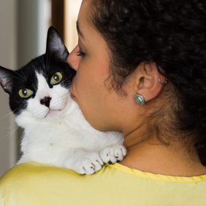 Cat snuggles against a person wearing a yellow shirt, receiving a kiss on the cheek in a cozy indoor setting.