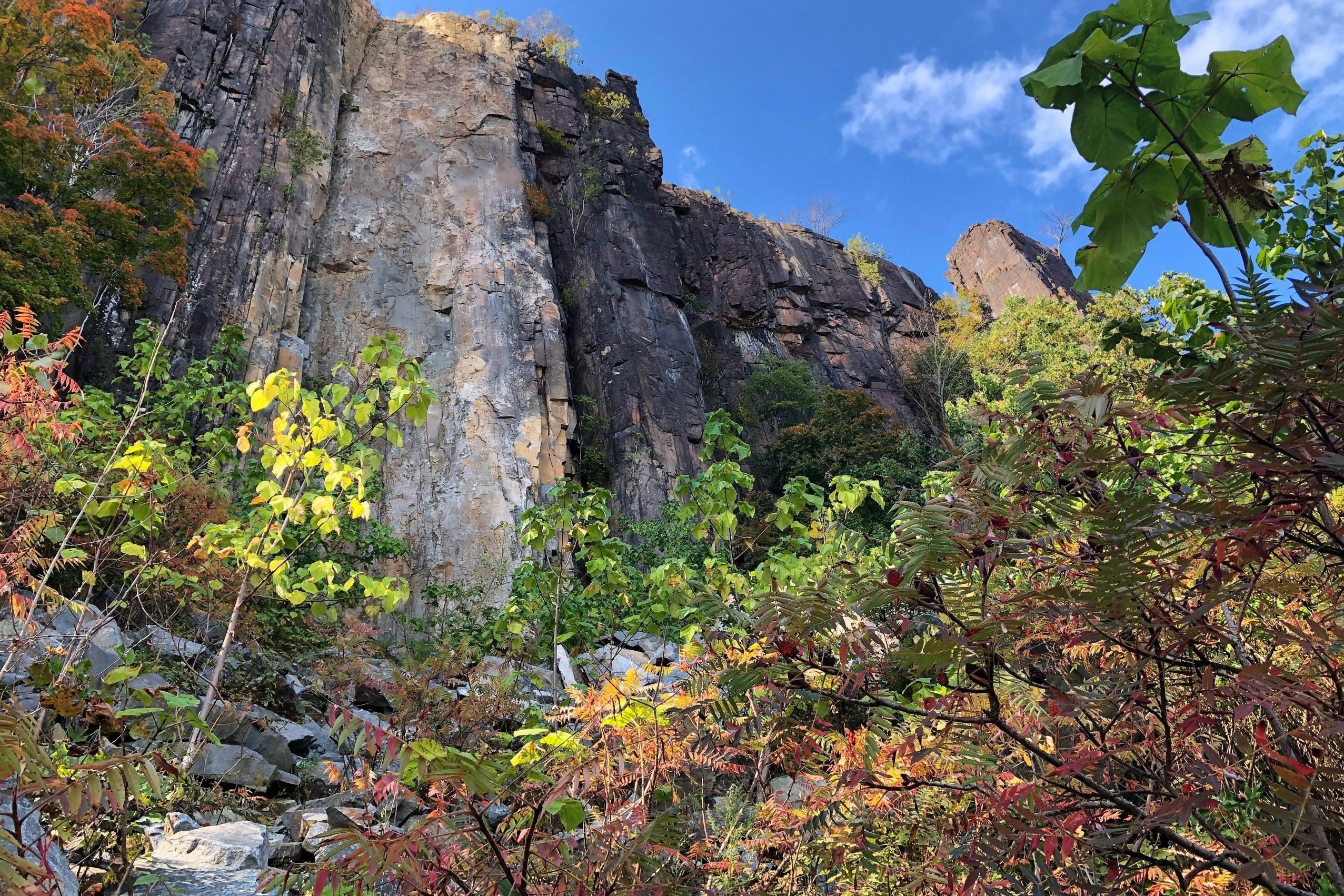 Rock cliff towers upward, surrounded by colorful autumn foliage beneath a bright blue sky.