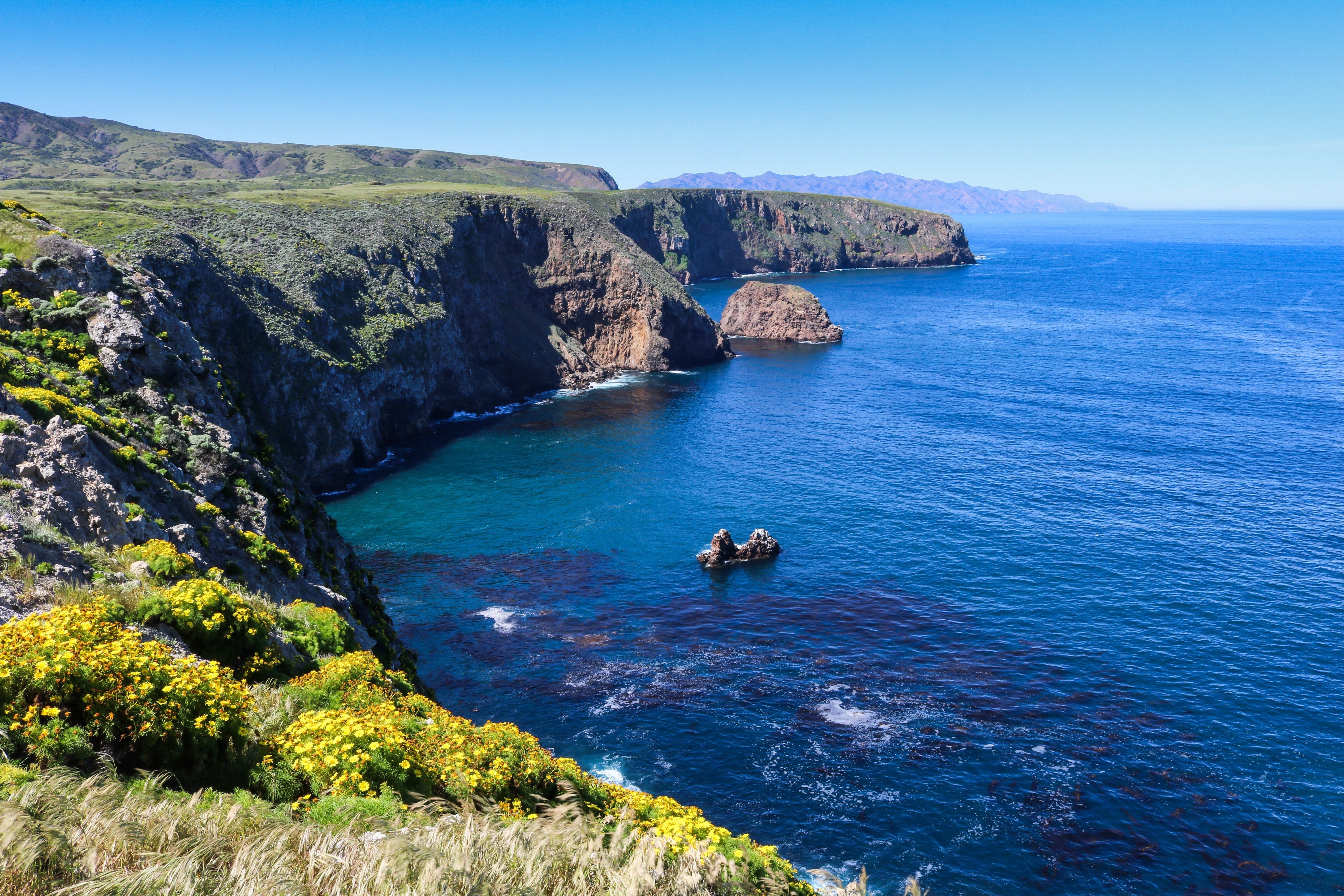 Cliffs overlook calm blue ocean, displaying vibrant yellow flowers and green vegetation under clear sky. Rocky formations jut out into the water.