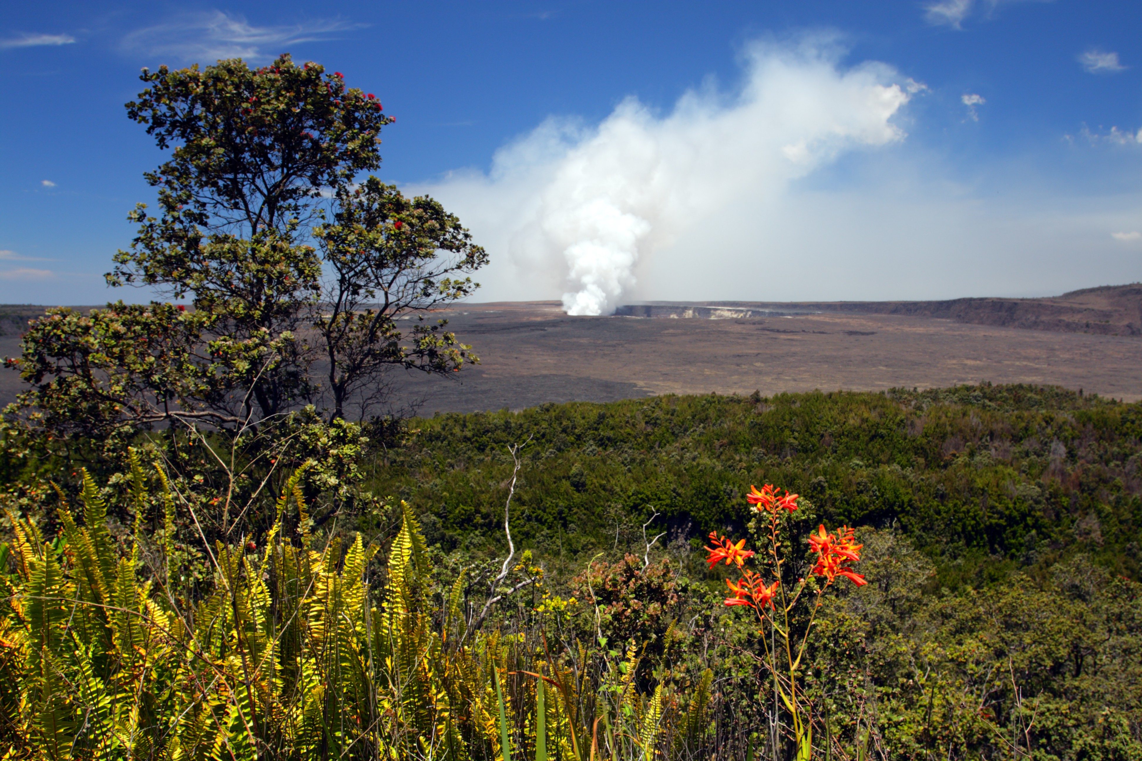 Volcano emits white smoke amid barren landscape; lush foreground with ferns and bright red flowers under a clear blue sky.