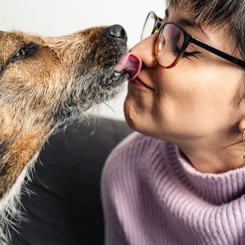 Dog licking a person's nose; the person wears glasses and earrings, smiling with eyes closed, on a couch in a cozy room.