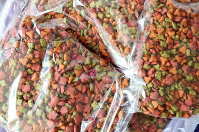 Colorful dog kibble is packed in clear plastic bags, filling the frame with red, green, and orange pieces.