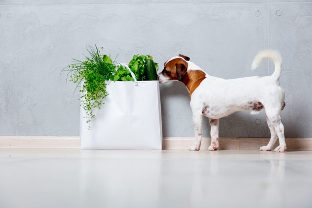 Dog sniffs a white paper bag filled with green vegetables and herbs, standing against a plain gray wall on a wooden floor.