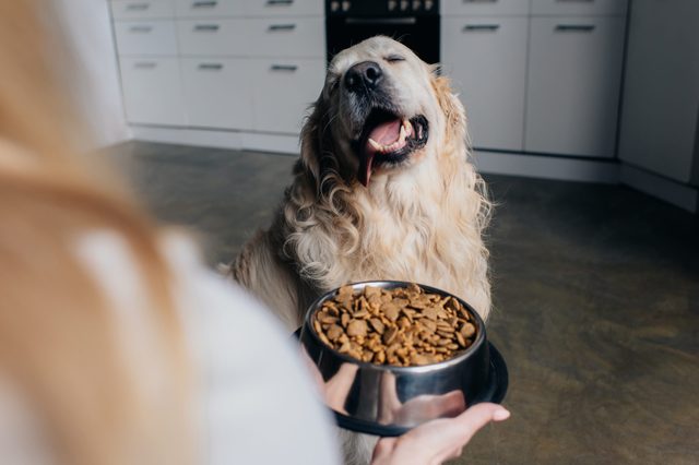 Dog eagerly waits as a hand offers a bowl of kibble in a kitchen.