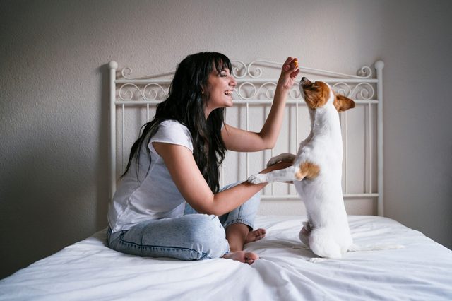 A woman playfully interacts with a small dog, kneeling on a bed with a white headboard, smiling and offering a treat.
