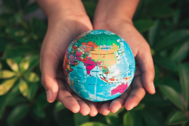 A small globe rests in cupped hands, surrounded by green foliage, displaying countries and oceans with vibrant colors.