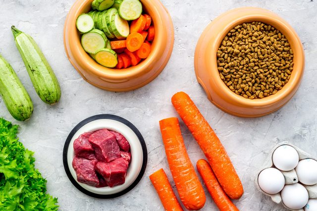 Dog bowls with kibble and sliced vegetables are surrounded by raw meat, eggs, zucchini, lettuce, and carrots on a gray surface.