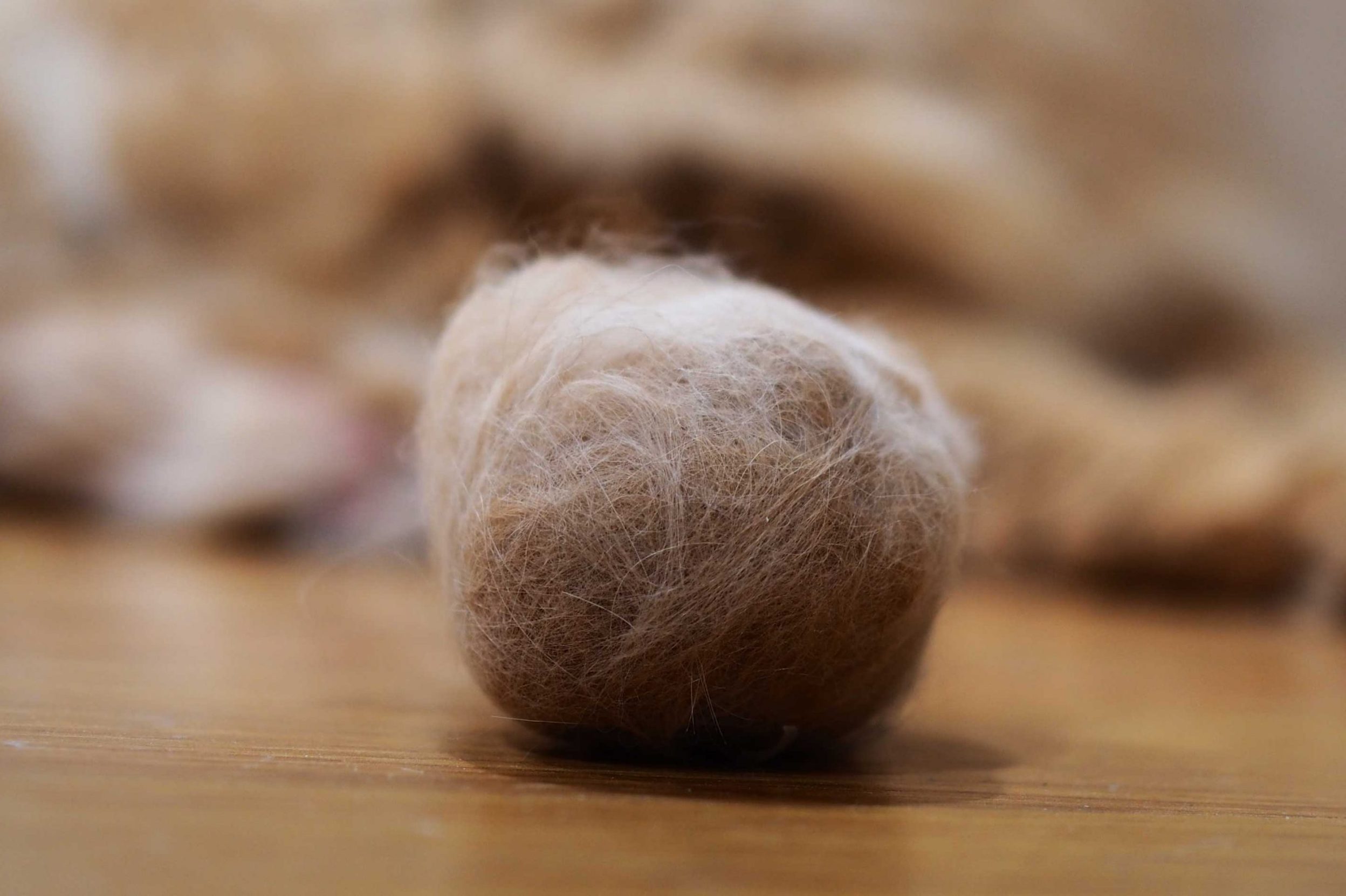 Hairballs in cats. Hairballs occur as a result of your cat grooming and swallowing hair.