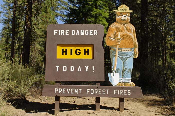 smokey bear