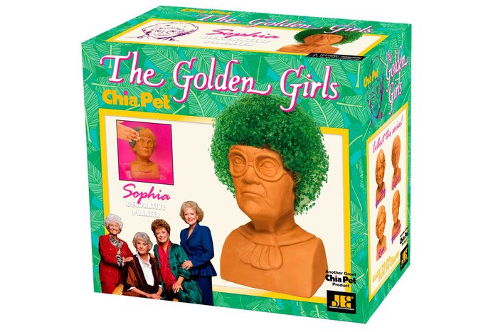 Bust-shaped planter grows green Chia hair, themed around 