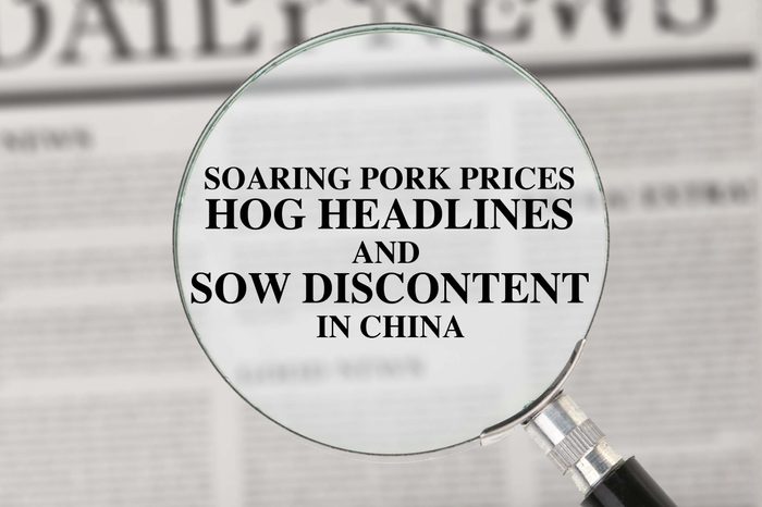 punny newspaper headline