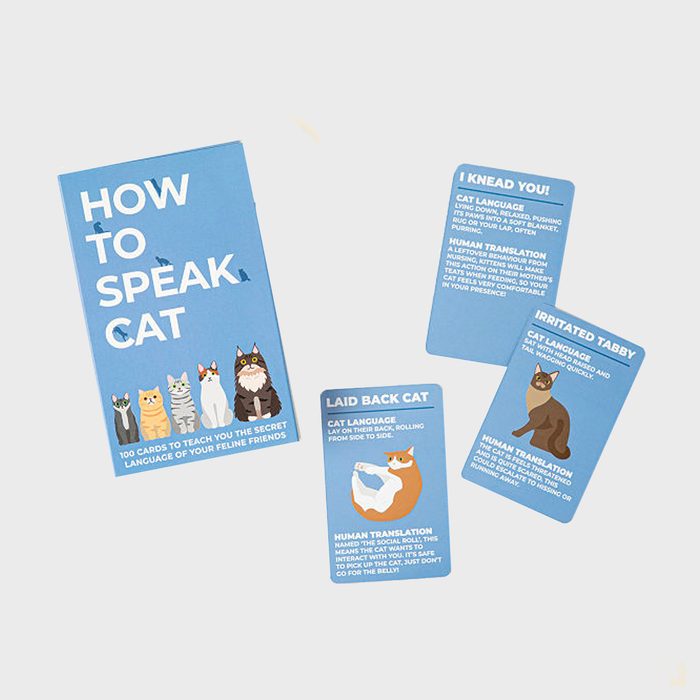 Cards display cat behaviors and translations, titled 