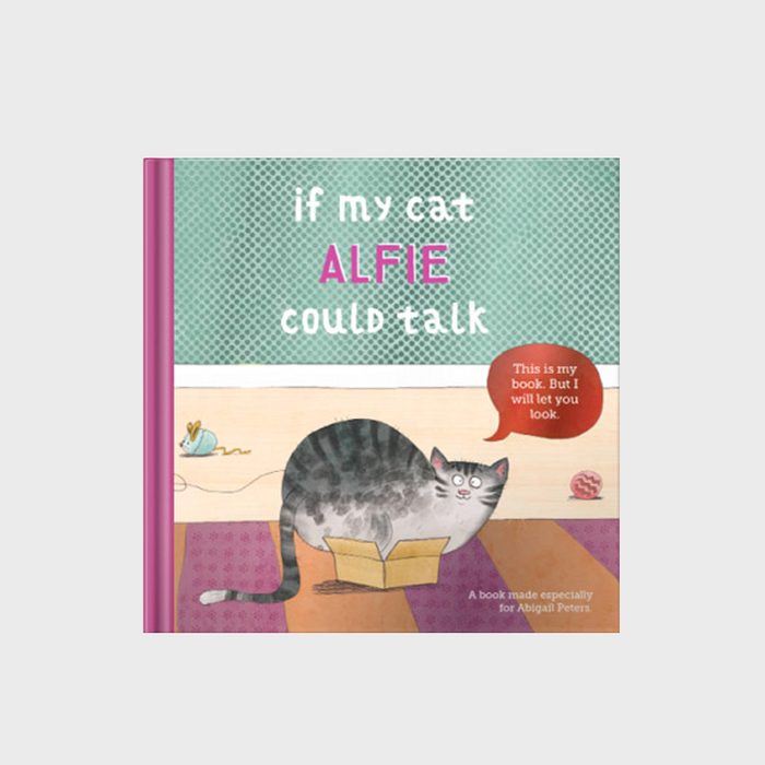 Cat sits in small box; speech bubble reads, 