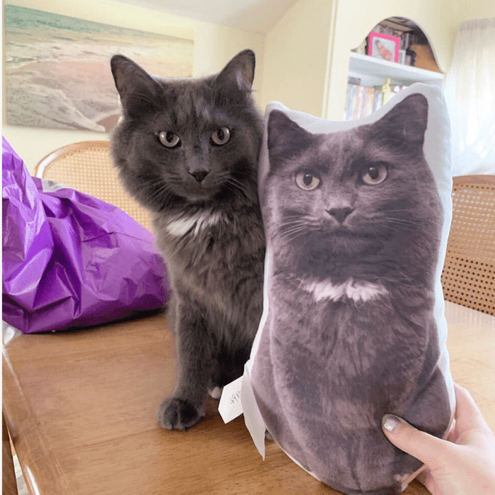Cat sits beside a pillow printed with its image, on a wooden table in a bright room.