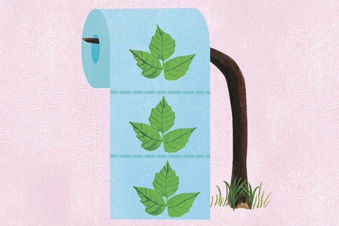poison ivy toilet paper illustration by ellen weinstein
