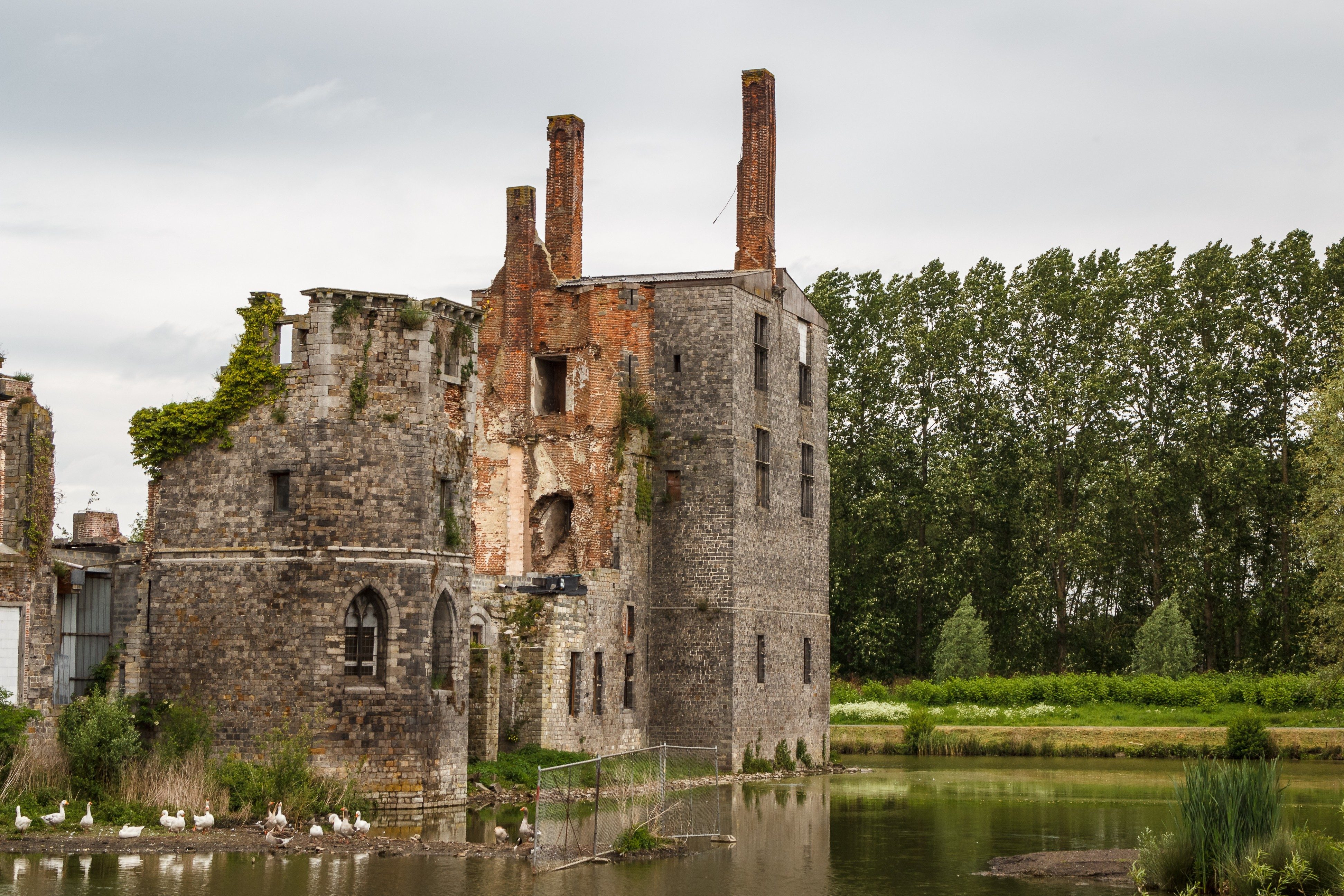 A stone and brick ruin stands by a pond, surrounded by greenery, with ducks and geese on the water's edge.