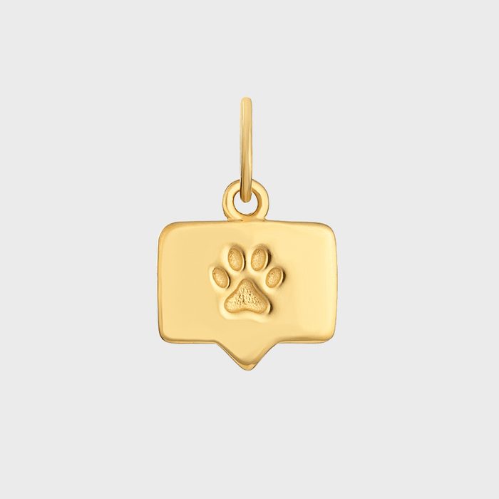 Gold pendant features a paw print imprint, shaped like a speech bubble, suspended against a plain gray background.
