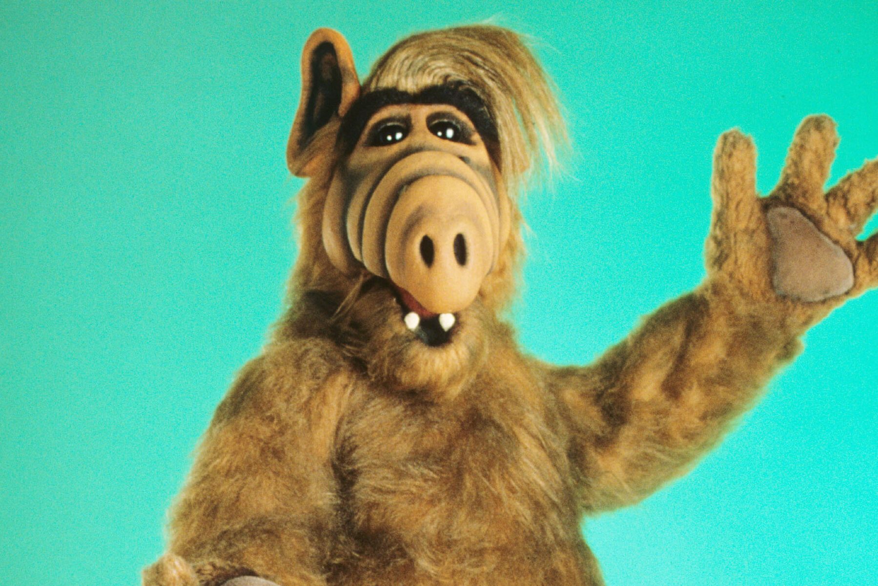 Furry, brown alien waves against a bright turquoise background.