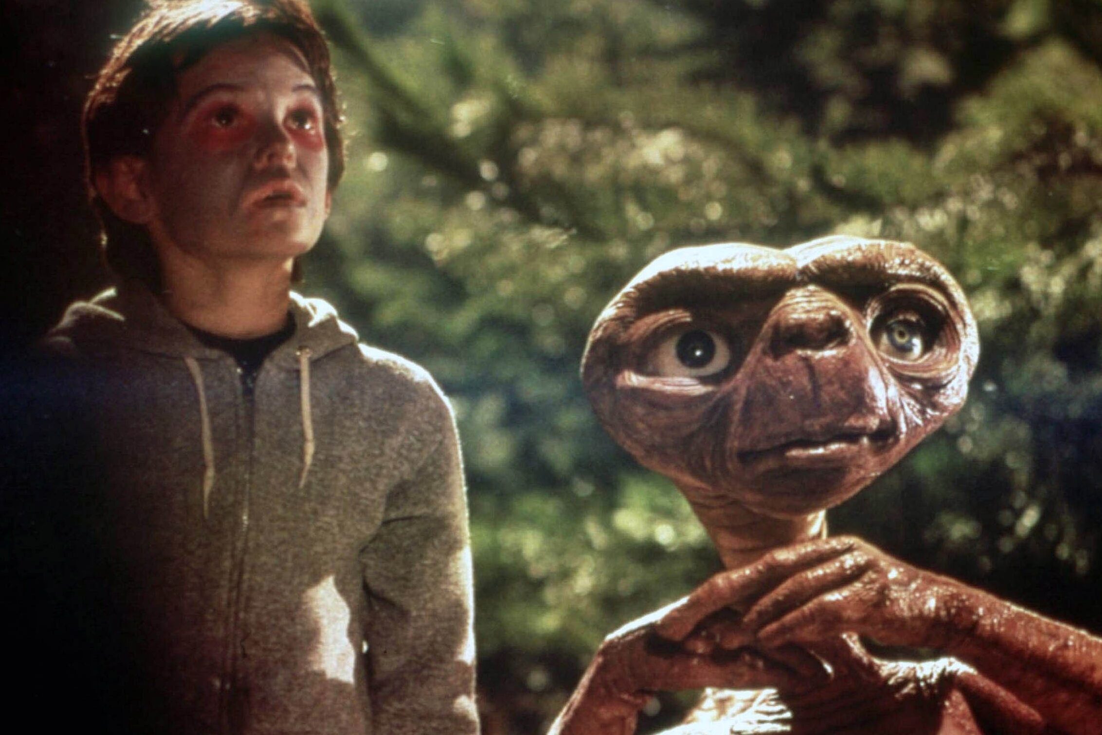 A young boy and alien creature are standing in a forest, both looking upward with expressions of wonder and curiosity.