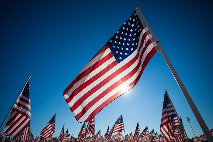 A display of many American flags with a sky blue background, commemorating 9/11, memorial day, or veterans day