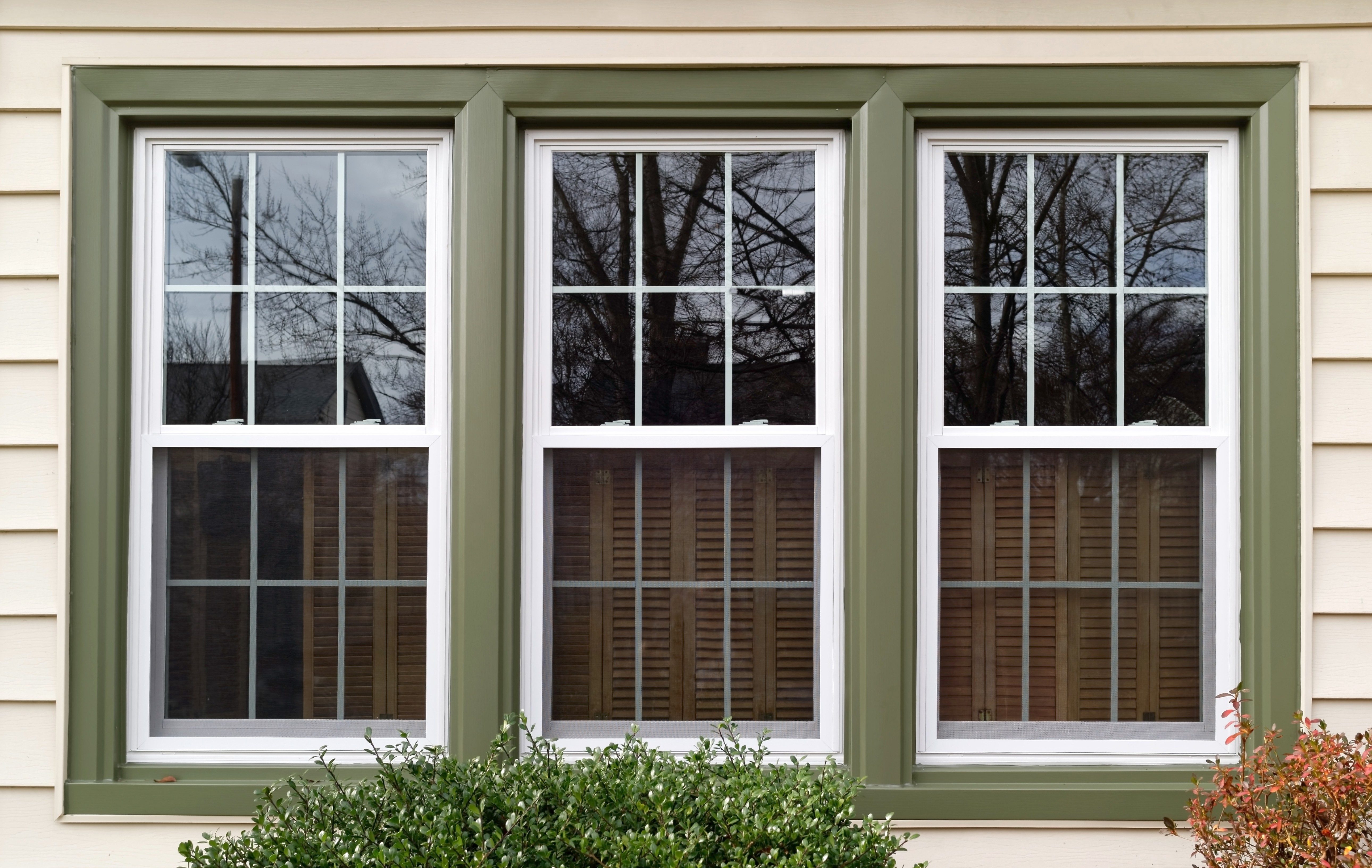 Three double-hung windows reflect tree branches, framed with green trim on a beige clapboard exterior. Bushes are visible below the windows.