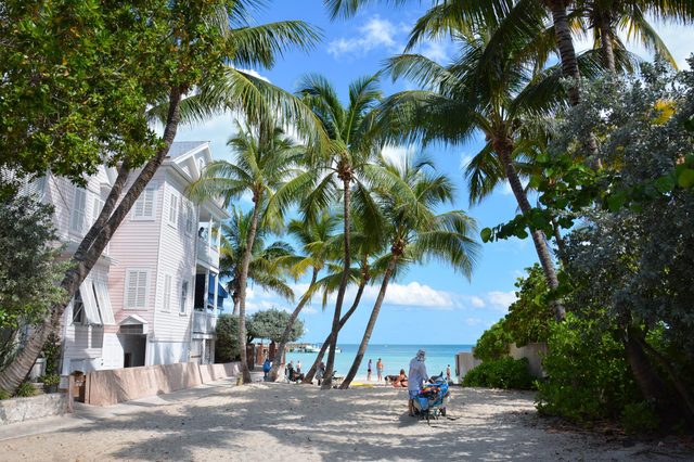 Palm trees sway on a sandy path between a house and vibrant sea. People relax and enjoy sunny beach moments.