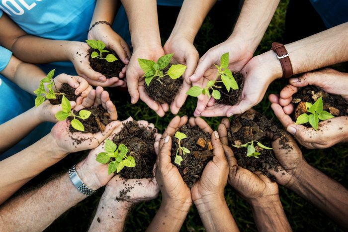 People Hands Cupping Plant Nurture Environmental