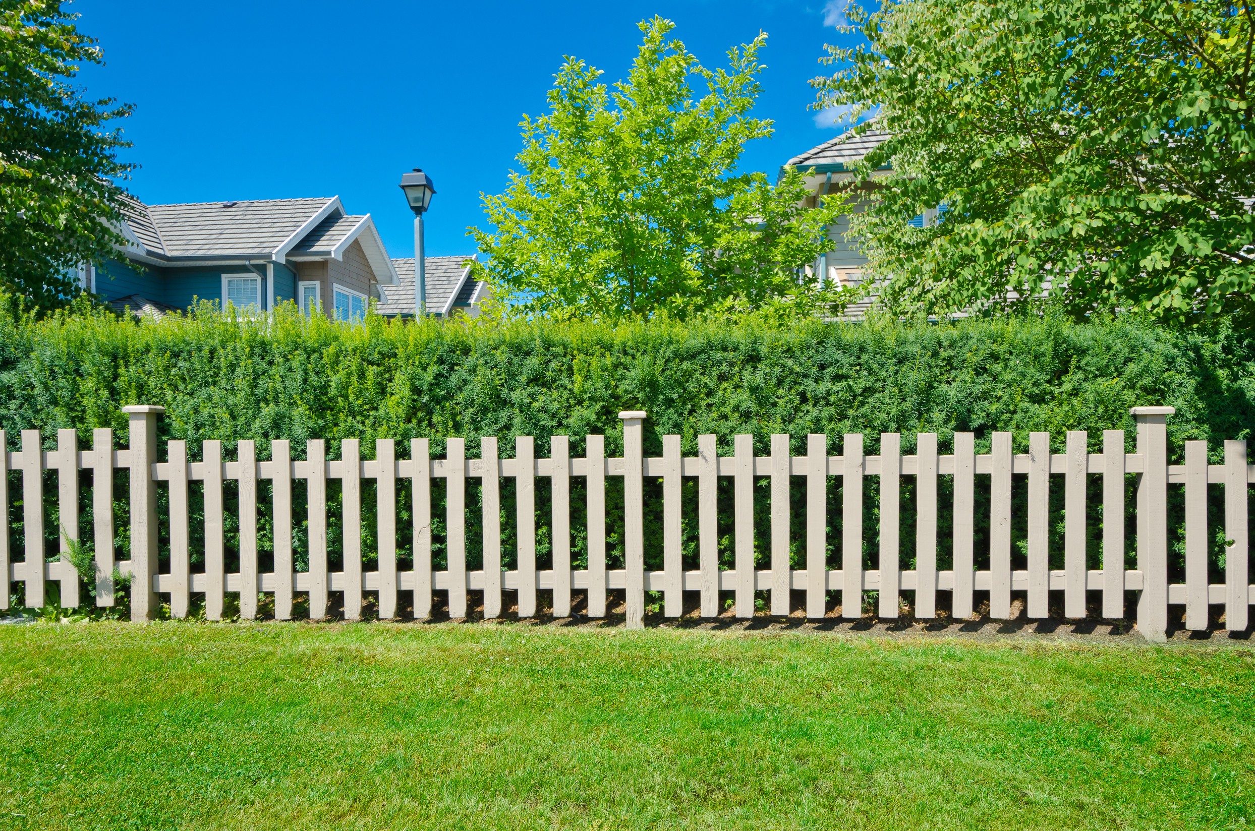 Fence enclosing lush hedge, in front of house with sloped roof, against clear blue sky and green grass.