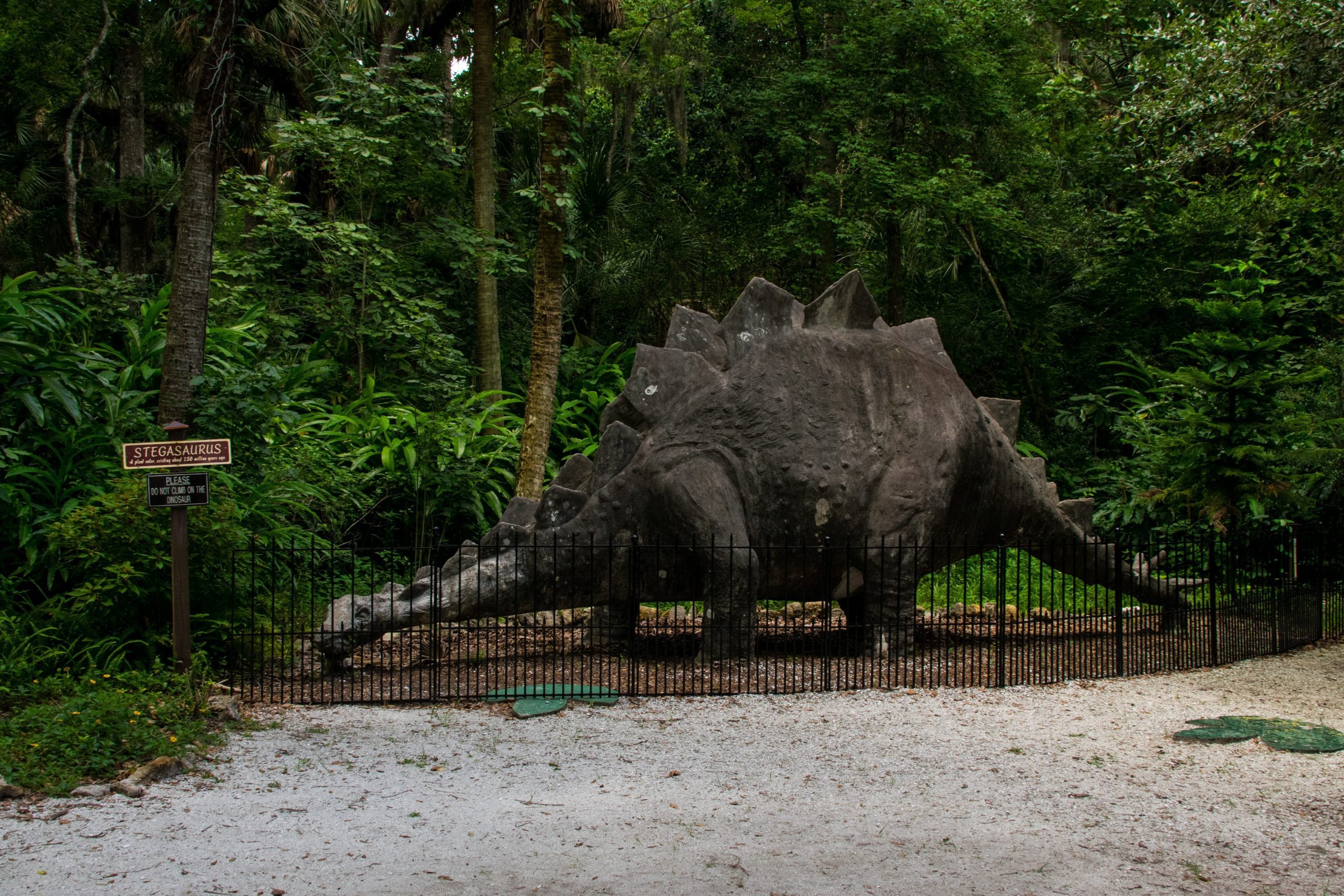 abandoned Bongoland in Florida