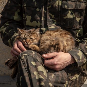Cat sleeps on a person's lap, both wearing camouflage, sitting against a textured wall.