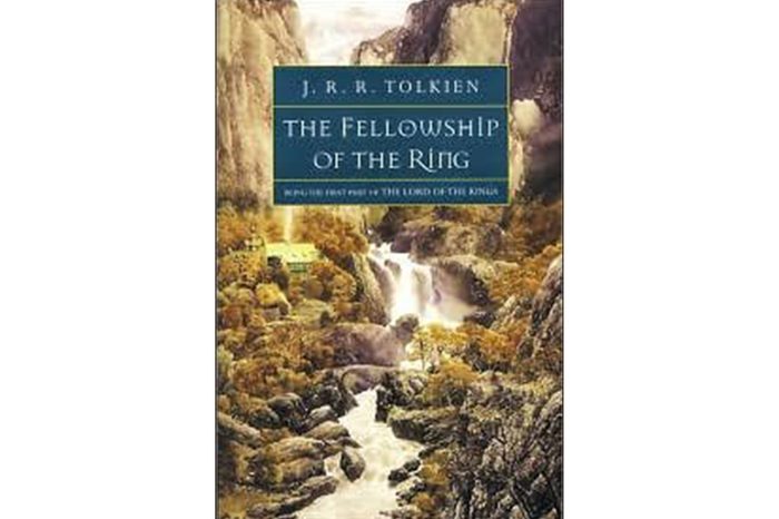 the fellowship of the ring