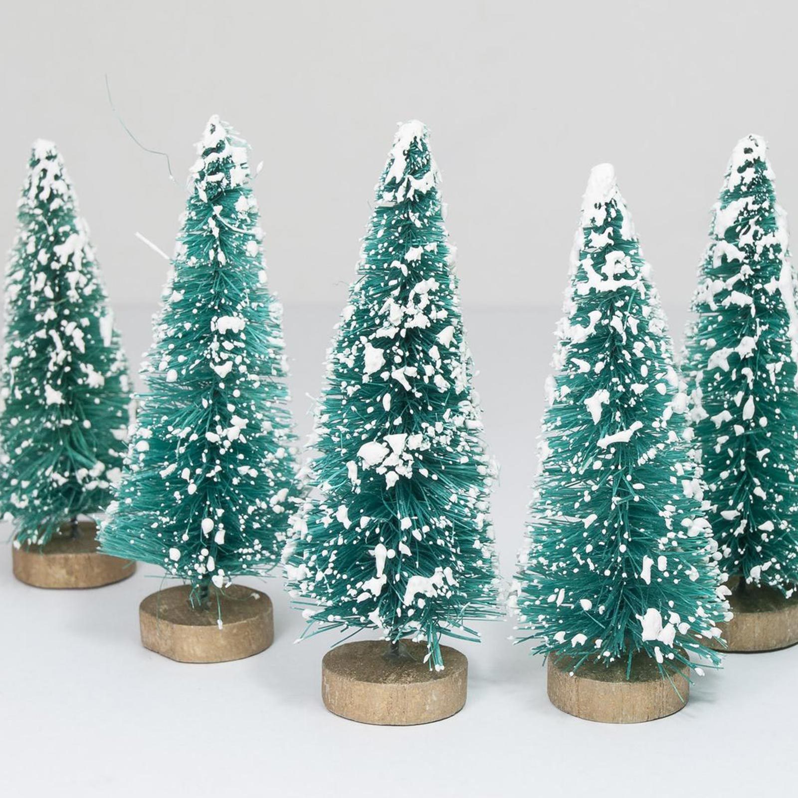 Bottlebrush trees