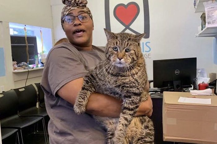 morris animal refuge Mr. B cat