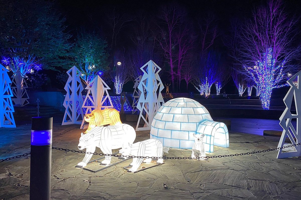 North Carolina Arboretum Christmas Lights
