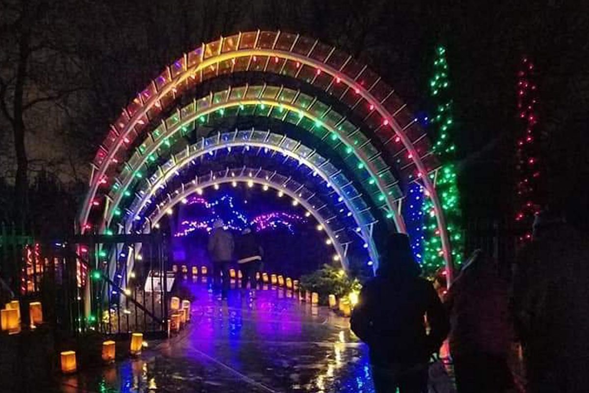 Botanica The Witchita Gardens Light Show