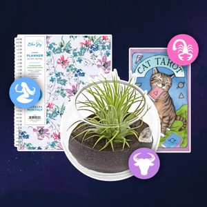 A glass terrarium holds a green plant, surrounded by a floral planner, cat tarot card, and zodiac symbols on a dark backdrop.