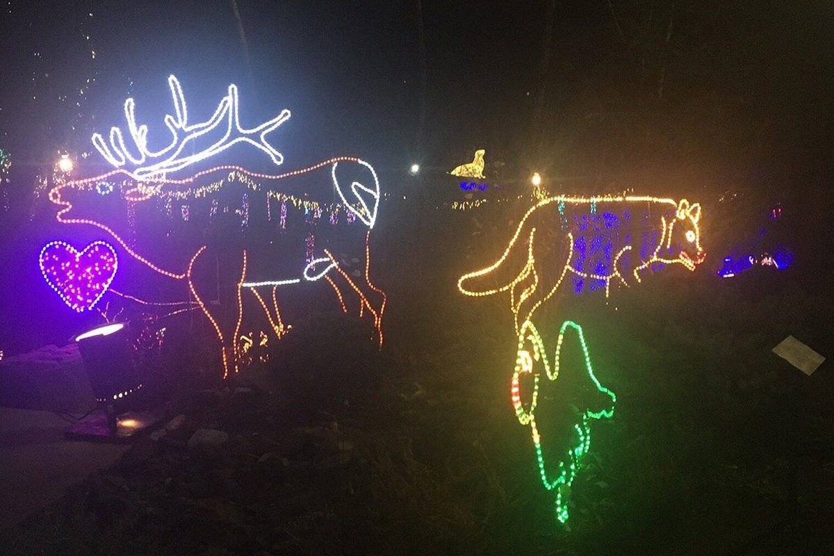 Oregon Zoo Lights