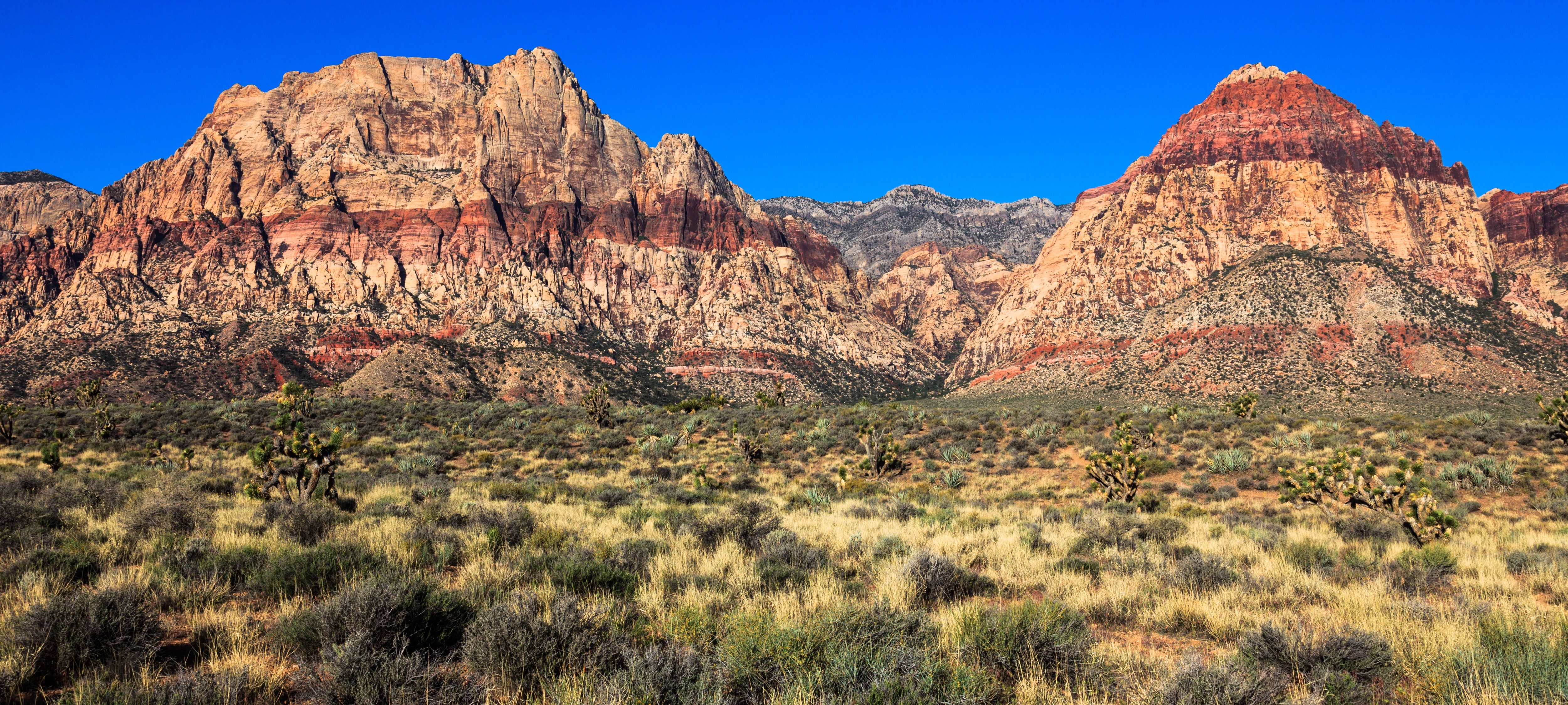 Rugged red and tan mountains rise prominently, contrasting against a vibrant blue sky, with a foreground of desert vegetation and scrubland.