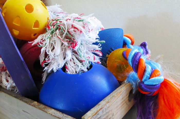 A large bin full of dog toys!