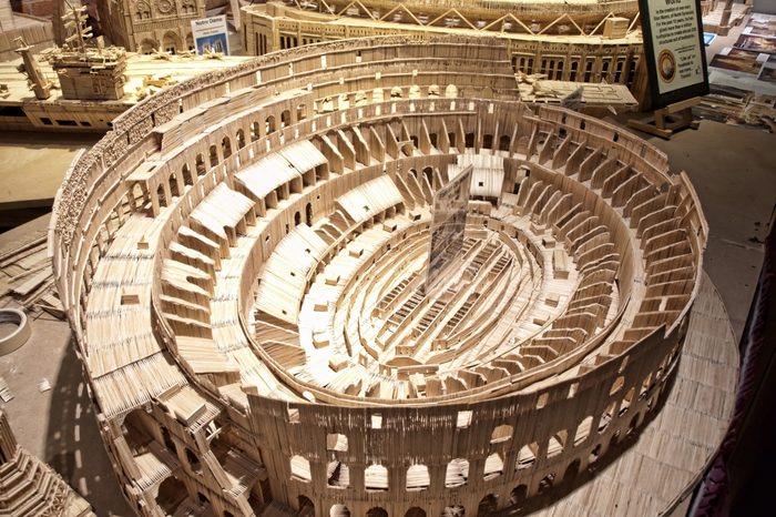 largest toothpick display