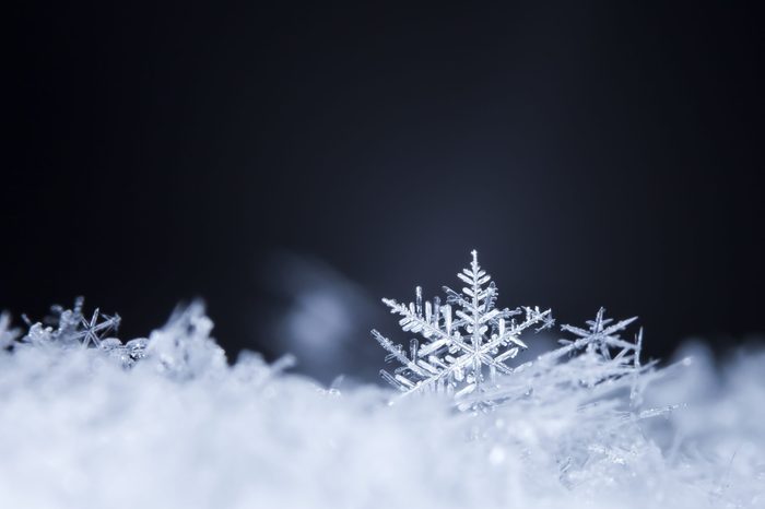 natural snowflakes on snow, photo real snowflakes during a snowfall, under natural conditions at low temperature