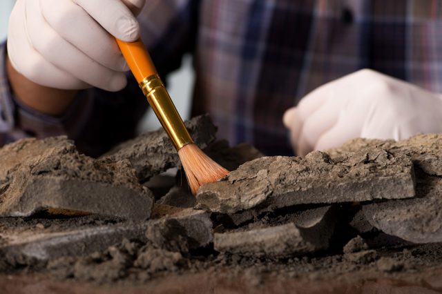 Gloved hand uses brush to gently clean dusty, broken clay pieces on a table, suggesting archaeological or scientific work.