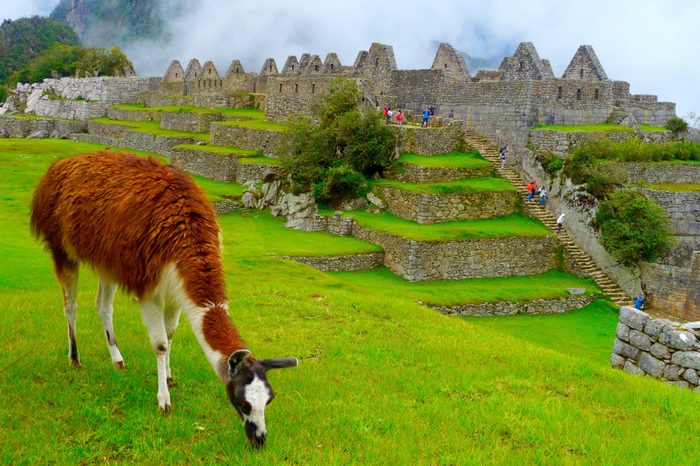 Johanna Read travel 60 countries peru