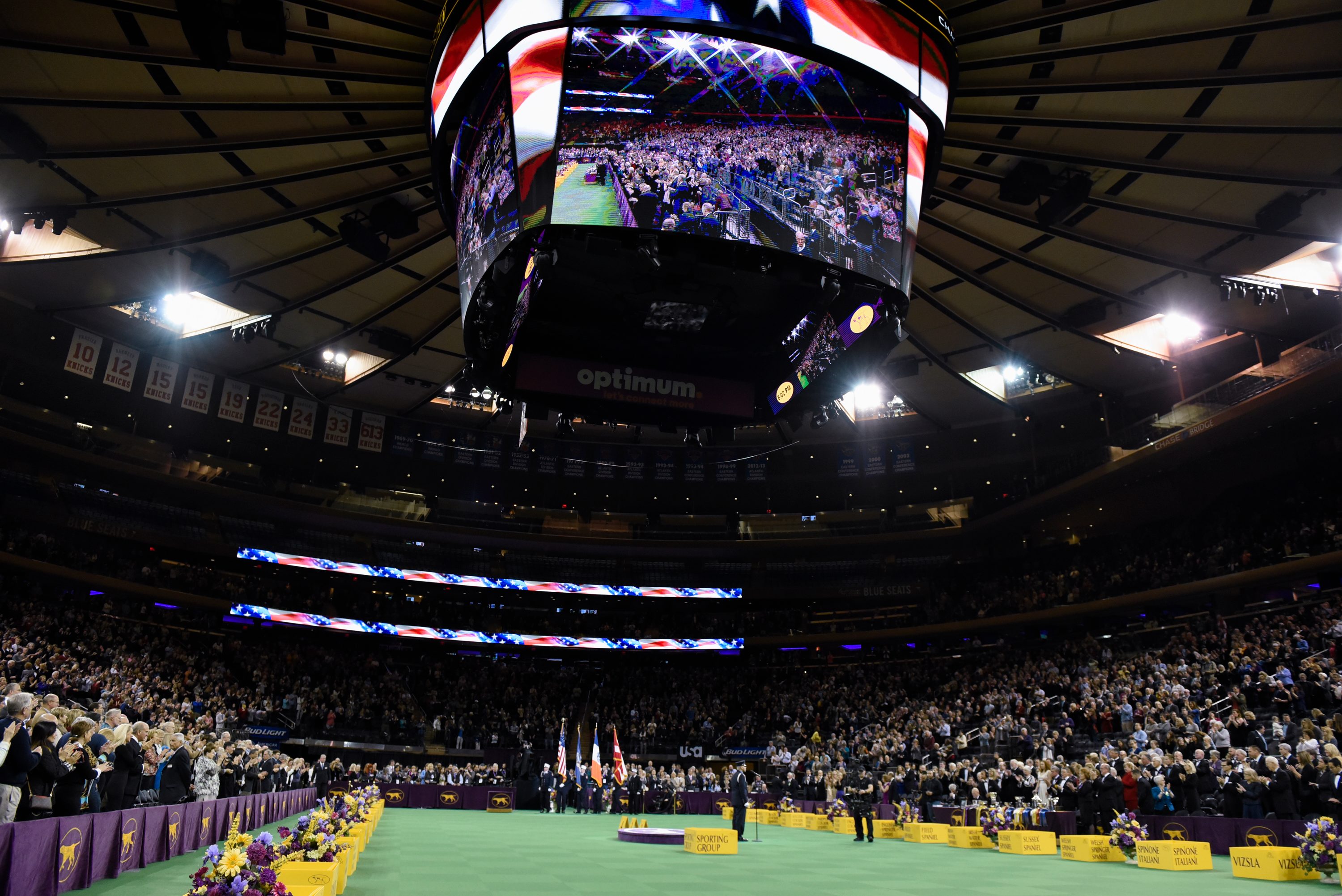 Large screen displays crowd in an arena; audience stands around a central ring adorned with flowers. Banners with sports team numbers hang overhead.