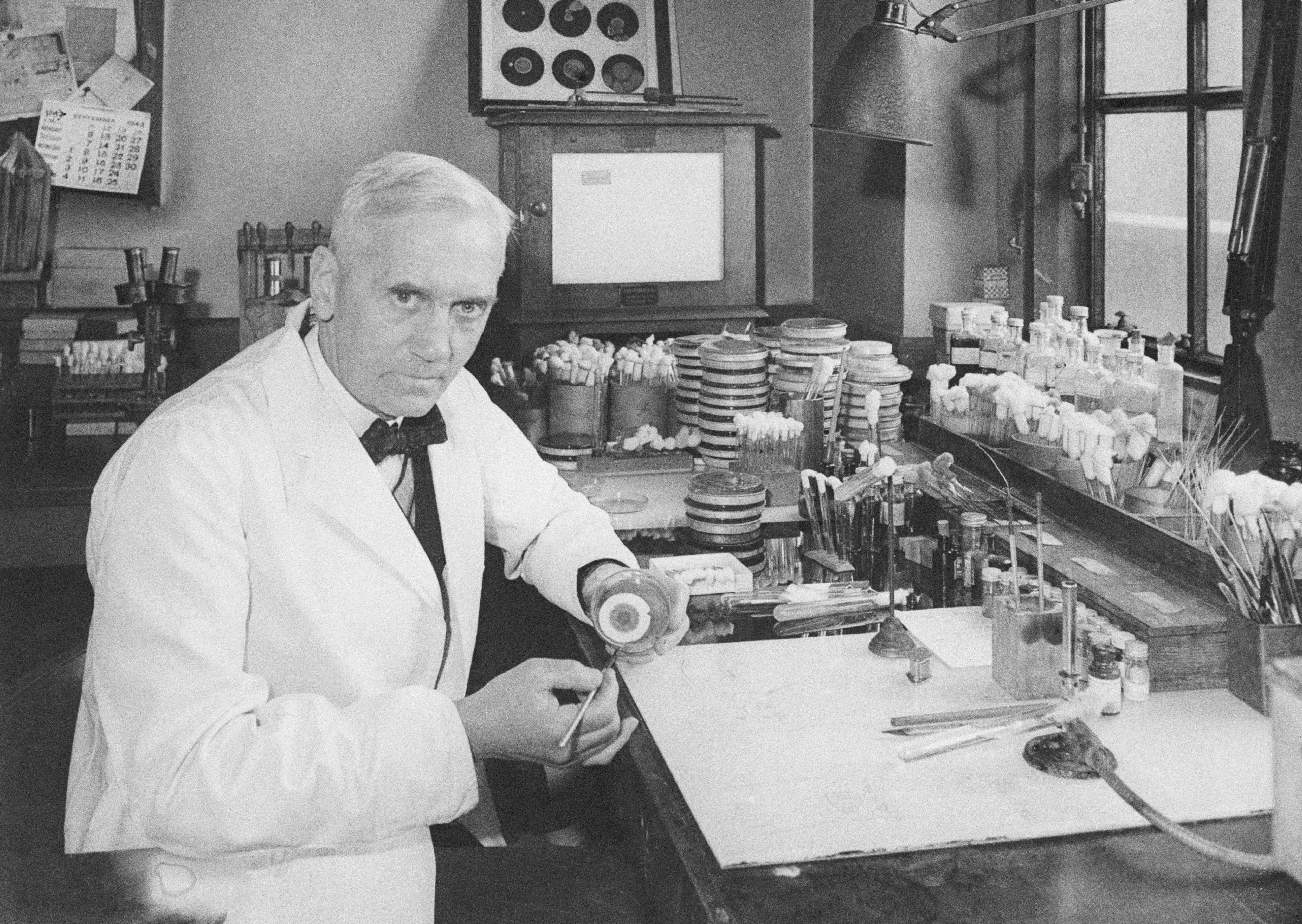 Scientist examines a petri dish in a cluttered laboratory, surrounded by glassware, slides, and paperwork, with a microscope and calendar visible.