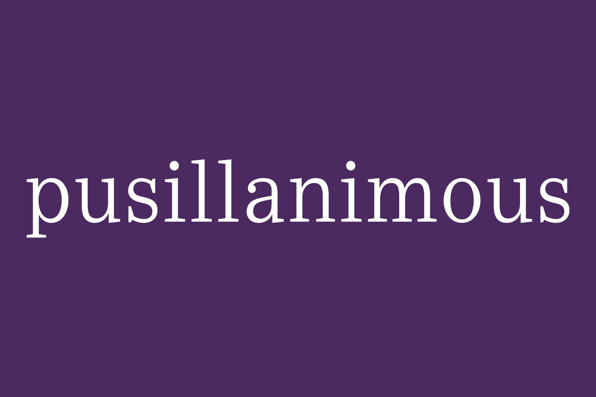 Fancy Word Pusillanimous